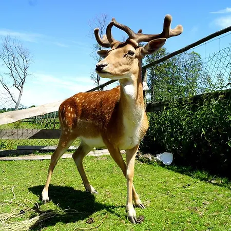 Palac Parkowy W Parnowie Bed & Breakfast