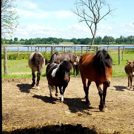 Bed & Breakfast Palac Parkowy W Parnowie