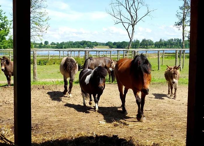 לינה וארוחת בוקר Palac Parkowy W Parnowie